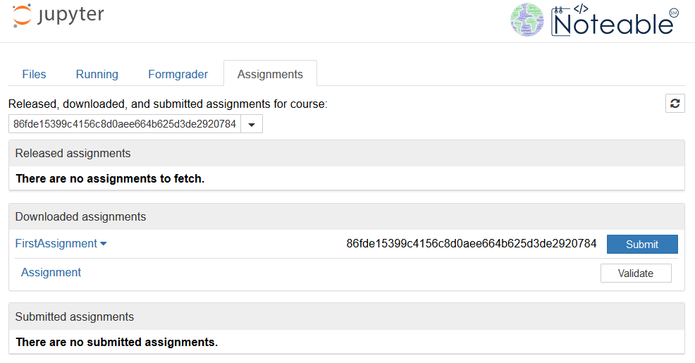 Screenshot of assignment tab when submitting/valisating an assigment
